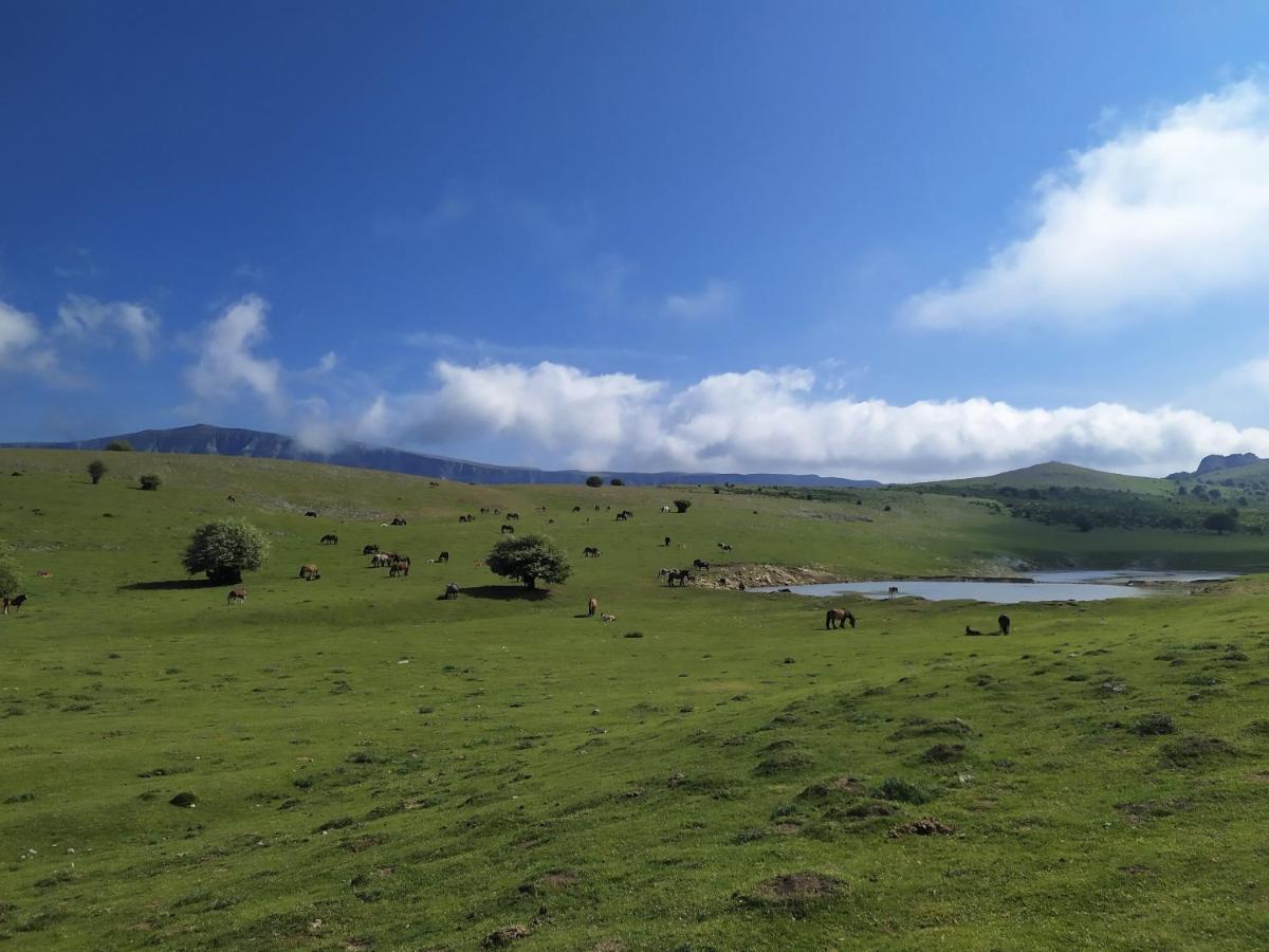 Casa Rural Ulibarri Allo Екстериор снимка